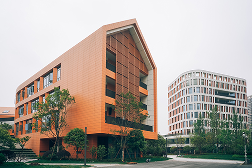 奥体小学 (2).jpg